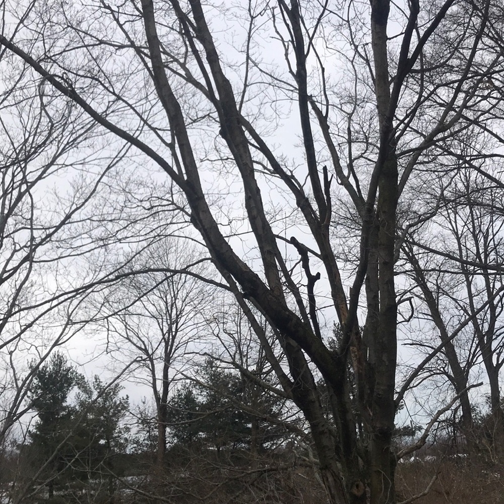 Meet your Posher, Sheila